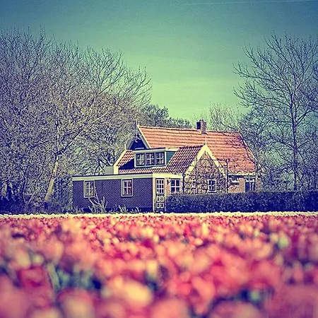 Bungalow Callantsoog 't Zand Exterior photo