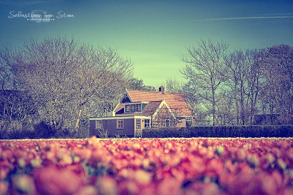 Callantsoog * 't Zand