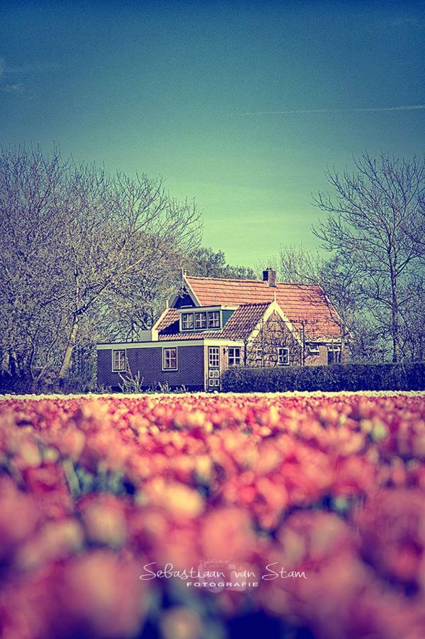 Callantsoog 't Zand